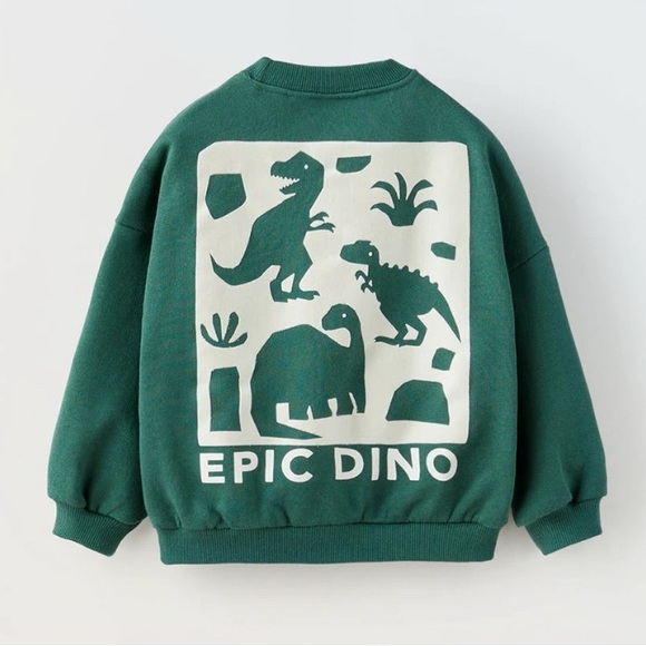 Zara Other - Zara Green Epic Dino Kids Sweatshirt